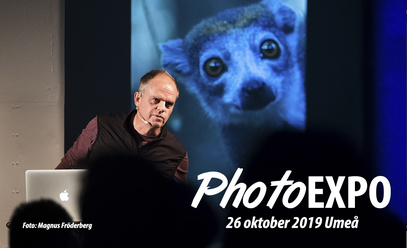 jan_pedersen_blogg.jpg