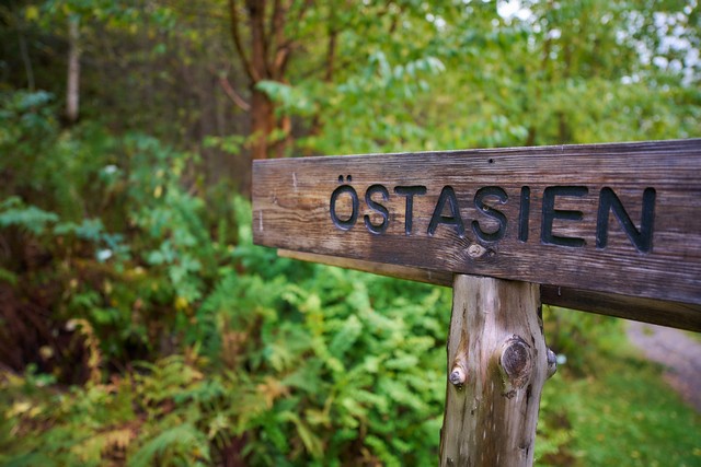 Viltrox 15mm f1.7_25w.jpg