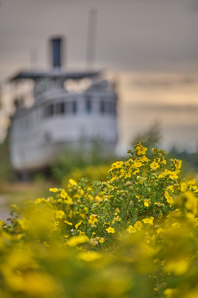 Viltrox 75mm f1.8 EVO_33w.jpg