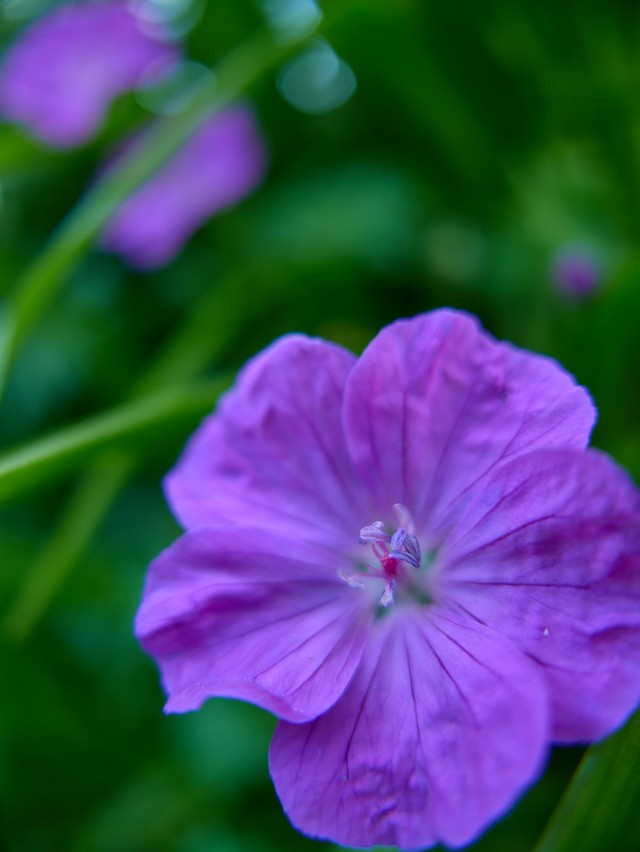 Panasonic L10_32w.jpg