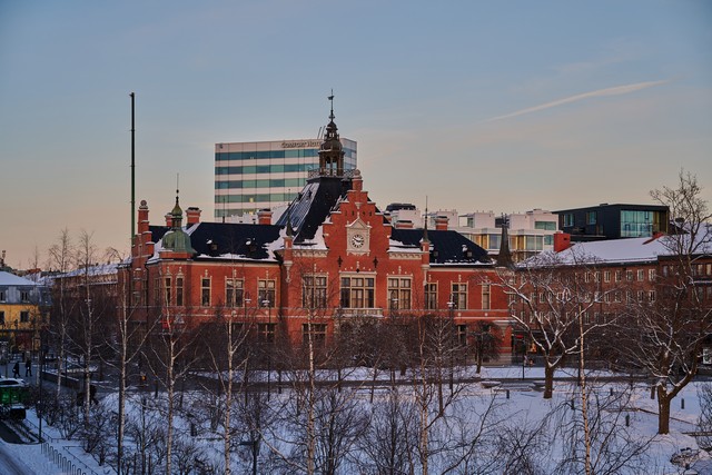 Nikon Z 24-105 f4-7.1_13w.jpg