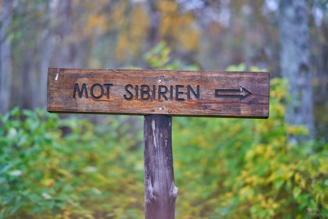 Voigtländer 50mm f1.2_27w.jpg