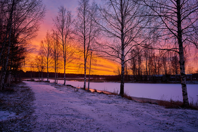 Nikon Z 28mm f2.8_5w.jpg