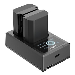 3824 NP-FZ100 Battery & Charger Kit
