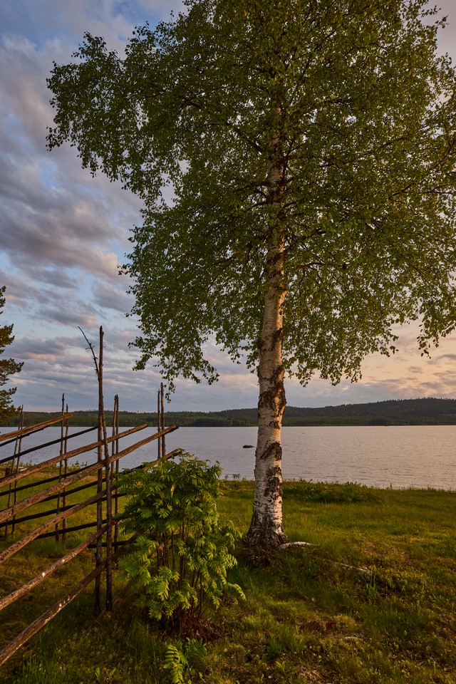 Canon RF-S 10-18mm_22w.jpg