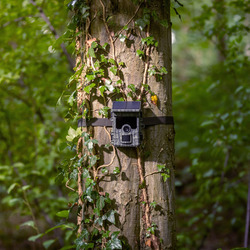 EZ-Solar Wildcamera
