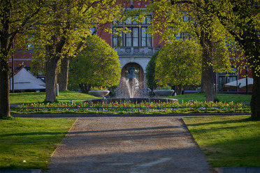 NikonZ8Test_blogg1.jpg