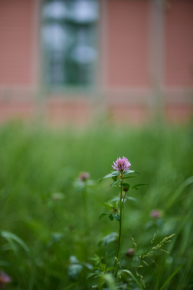 Canon RF 45mm f1.2 STM_30w.jpg