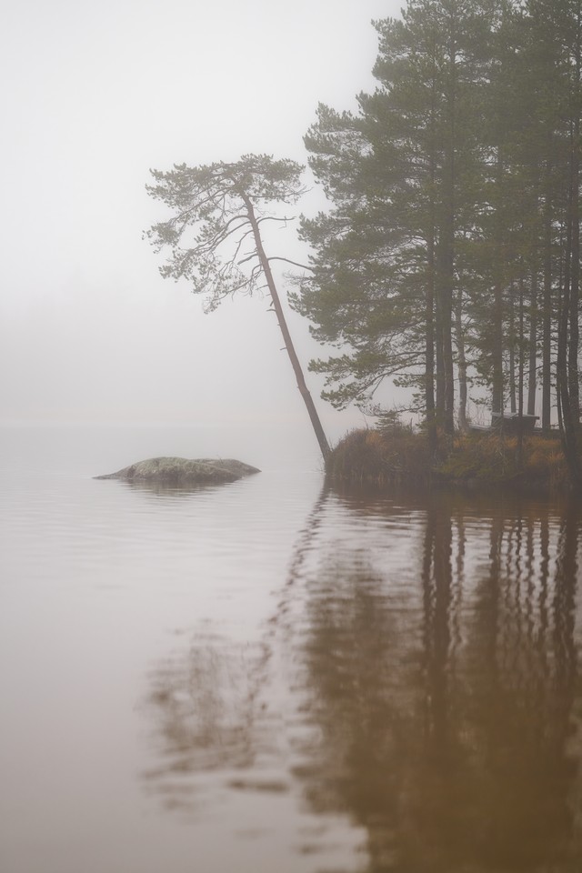 Sigma 135mm f1.4_9w.jpg