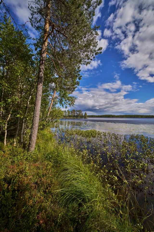 Laowa 12mm f2.8 Lite Zero-D FF_9w.jpg