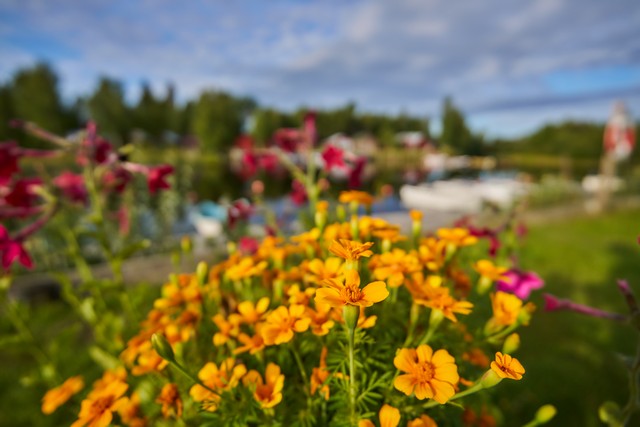 Tamron 16-30mm f2.8_20w.jpg