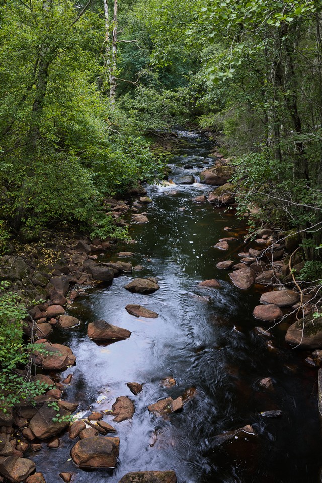 Sony RX1R III_17w.jpg