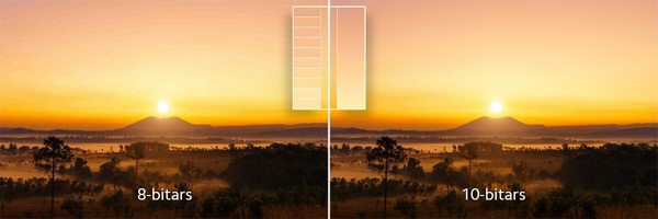 overview022.jpg