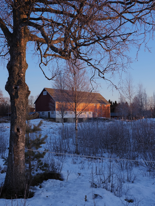 olympus E M1 Mark III_7w.jpg