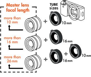 Kenko ring system