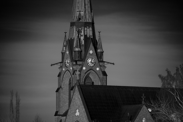Sigma 500mm f5.6 DG DN_3w.jpg