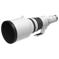 RF 800mm f/5,6L IS USM (fullformat)