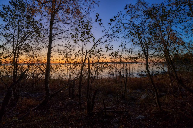 Viltrox 14mm f4_1w.jpg