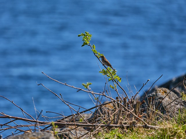 Fujifilm GF 500mm f5.6_12w.jpg