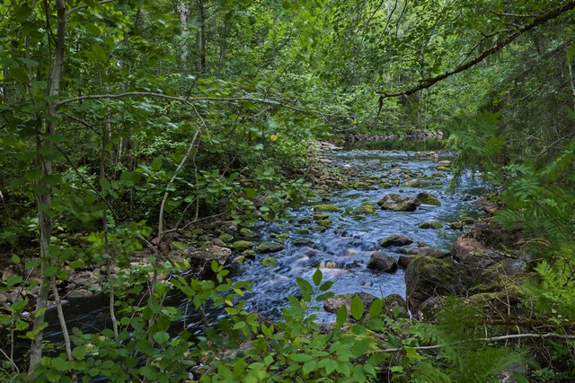 Sony RX1R III_19w.jpg