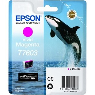 T7603 VIVID MAGENTA till SC-P600