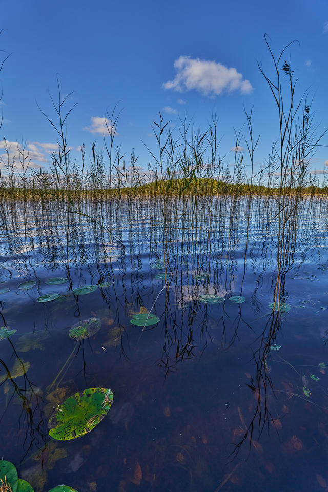 Samyang 16mm f2.8_27w.jpg