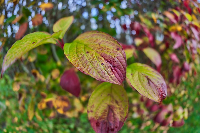 Sony FE 8-14mm f3.5 fisheye_30w.jpg