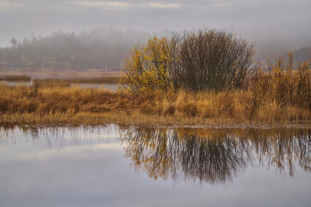 Sigma 135mm f1.4_31w.jpg