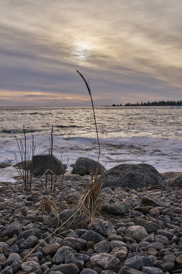 Viltrox 25mm f1.7_4w.jpg