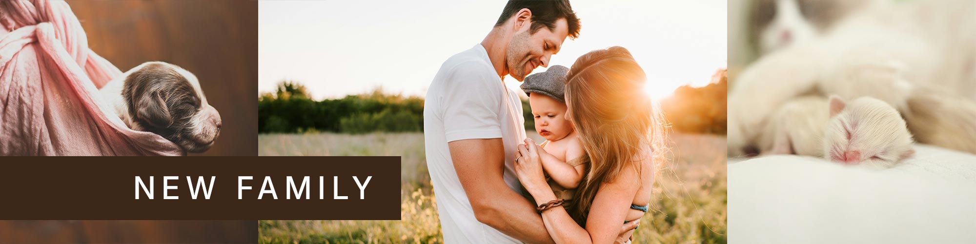 Hero_newfamily.jpg
