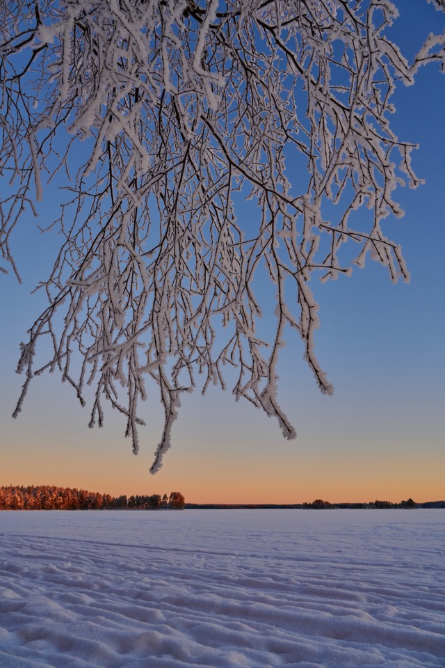 Nikon Z 24-105 f4-7.1_29w.jpg