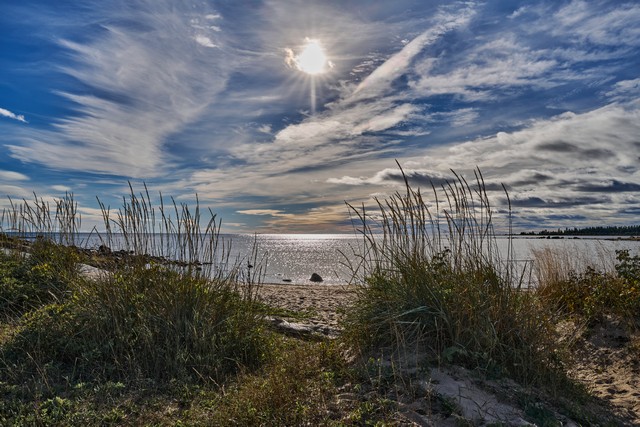 Nikon Z 24-70mm f2.8 II_20w.jpg