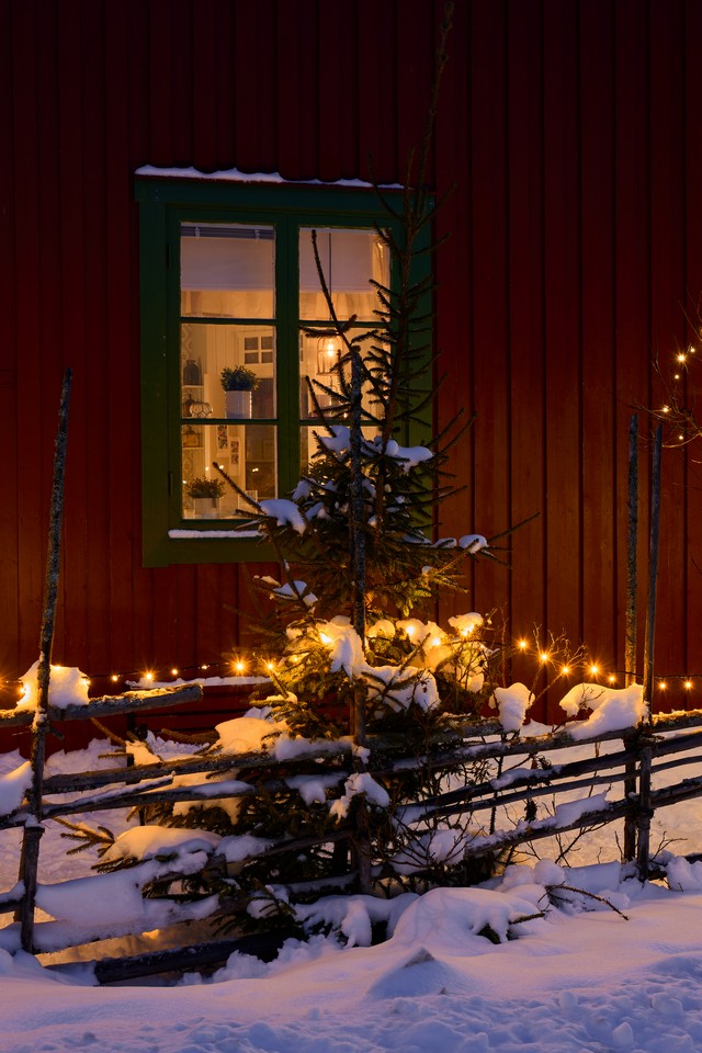 Panasonic S1 II_5w.jpg