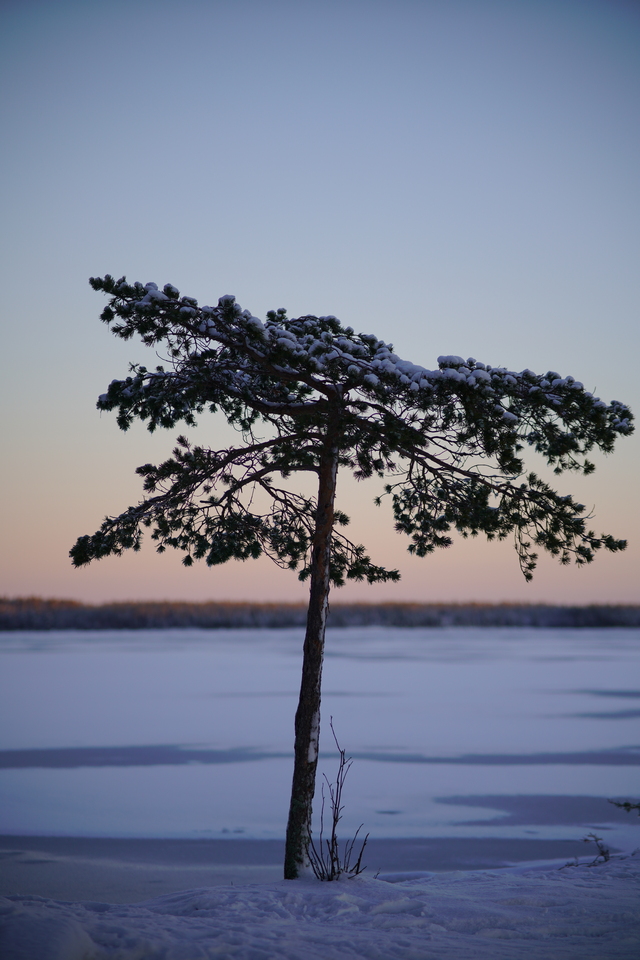 DSC05104w.jpg