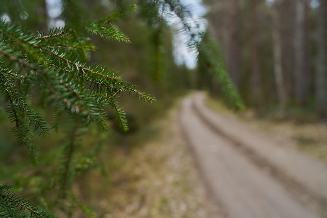 Viltrox 35mm f1.2 LAB_8w.jpg