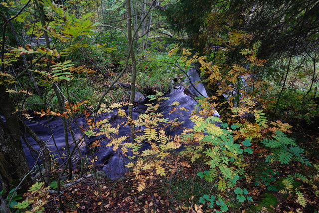 DSC00204w.jpg