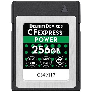 CFexpress Power 256GB (typ B)