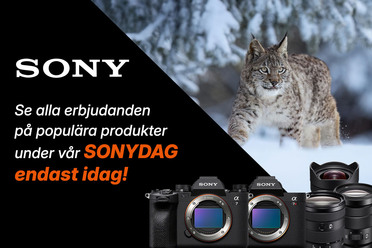 sonydag_blogg.jpg