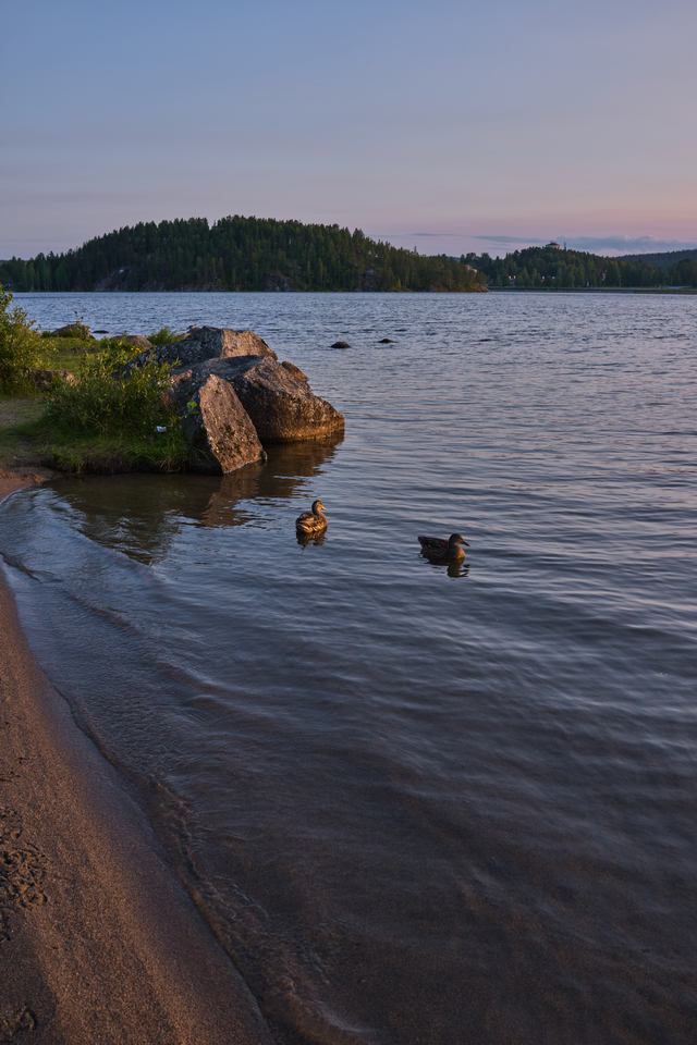 Sony RX1R III_170w.jpg