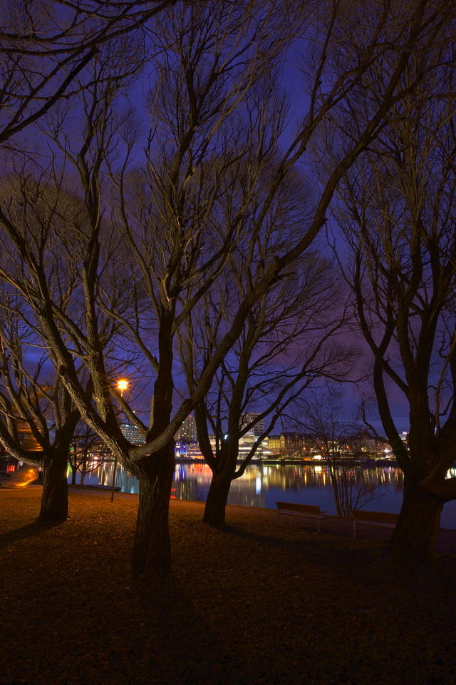 Sony A7 IV_12w.jpg