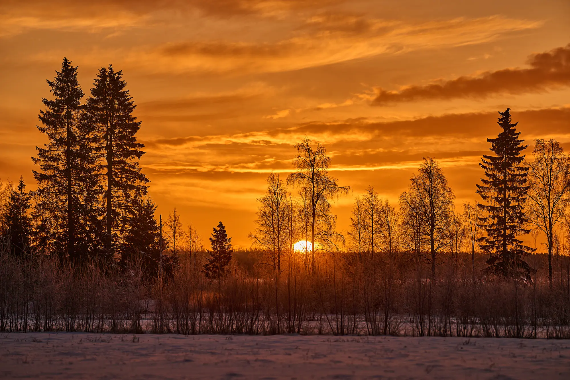 NikonPlenaTest_blogg2.webp