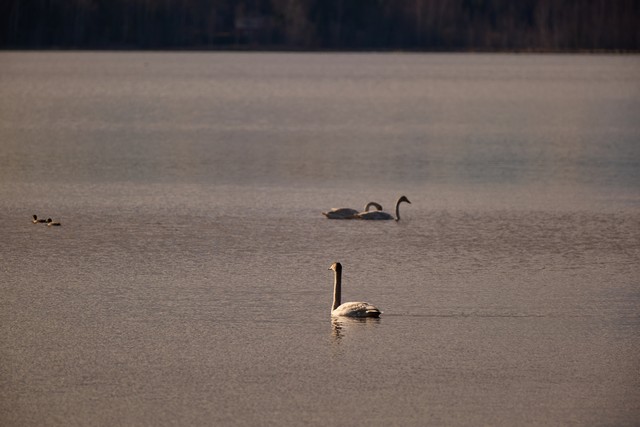 Panasonic S 100-400mm_2w.jpg