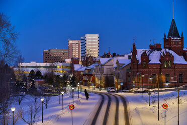 Viltrox 85mm f2 EVO_blogg1.jpg