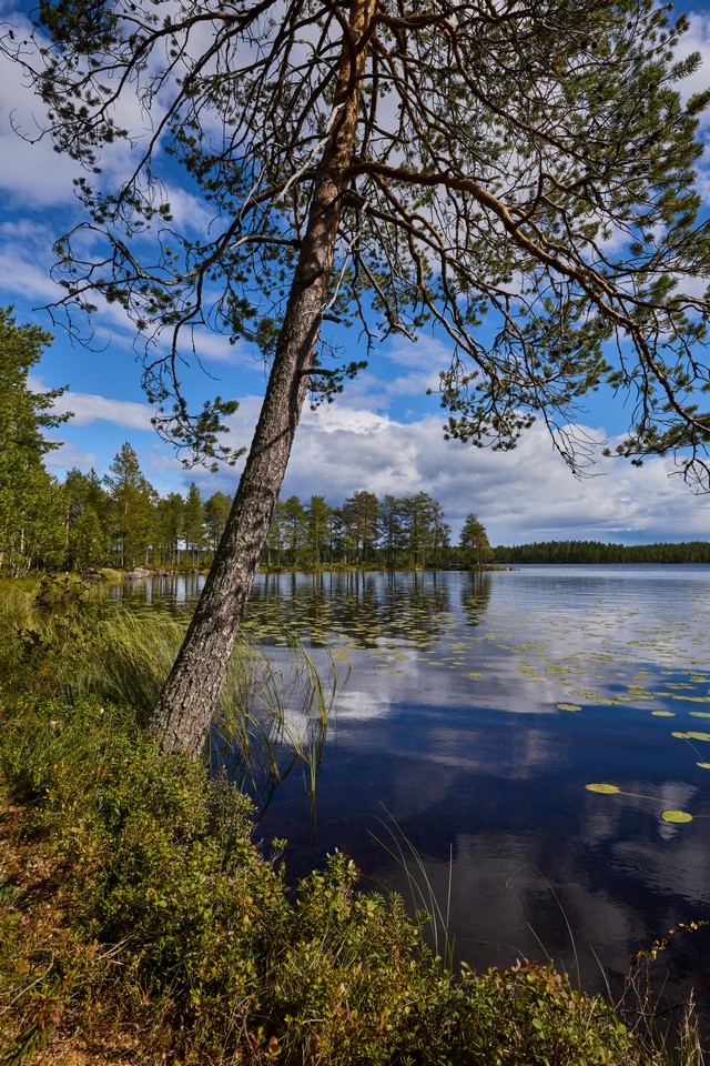 Canon RF 20mm f1.4 VCM_9w.jpg