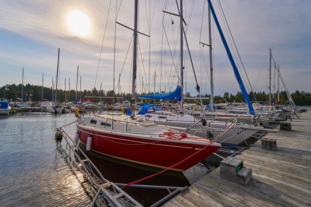 Samyang 16mm f2.8_14w.jpg