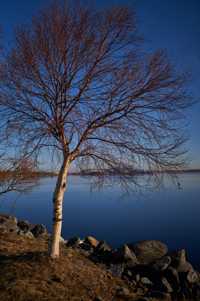 Samyang 35mm f1.4 II_7w.jpg