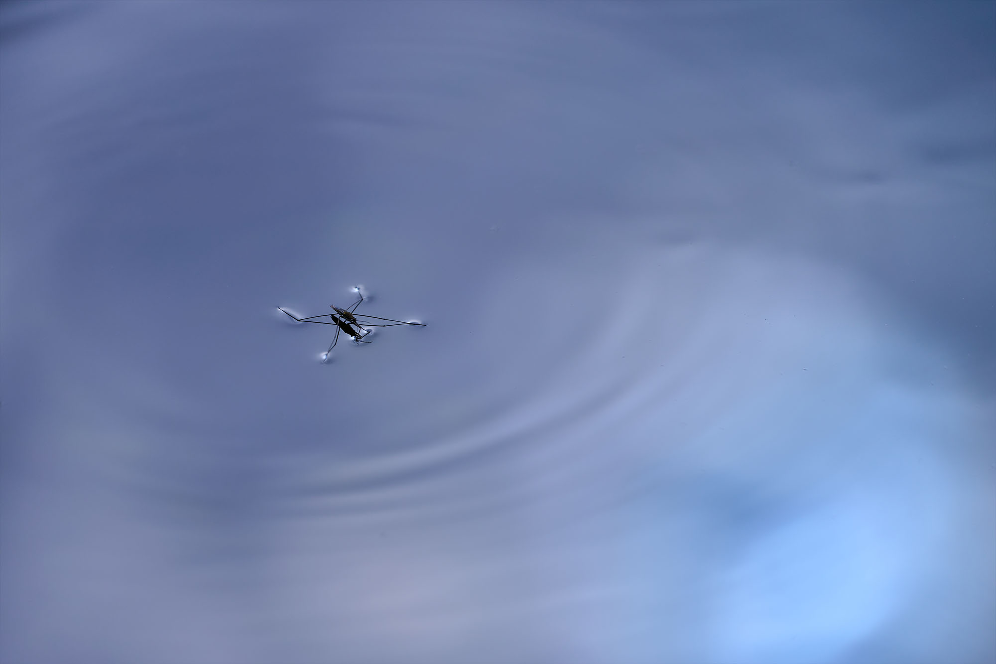 NikonZ6IIITest_blogg1.jpg