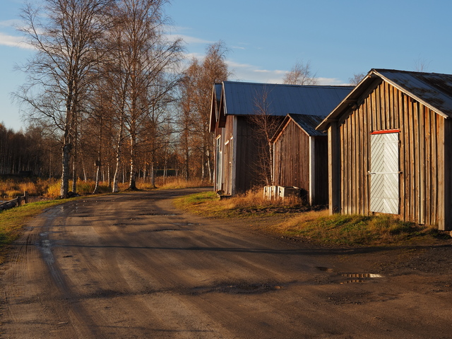 PA110083w.jpg