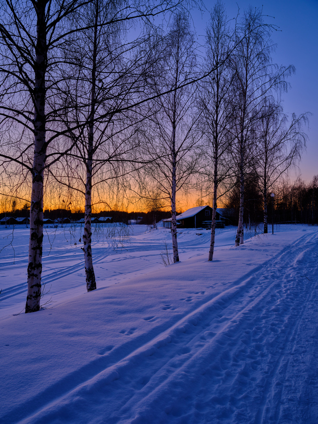 Fujifilm GFX100s_7w.jpg