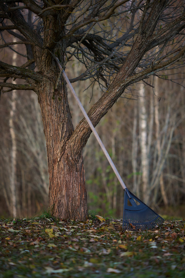 Viltrox 56mm f1.2_39w.jpg